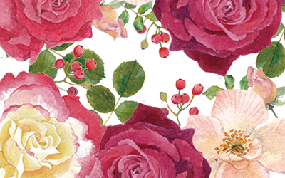 flower,花、薔薇、バラ、植物園、バラ園