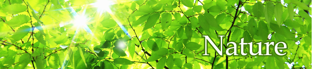 動物園、昆虫館、博物館、アルソミトラなど学術など