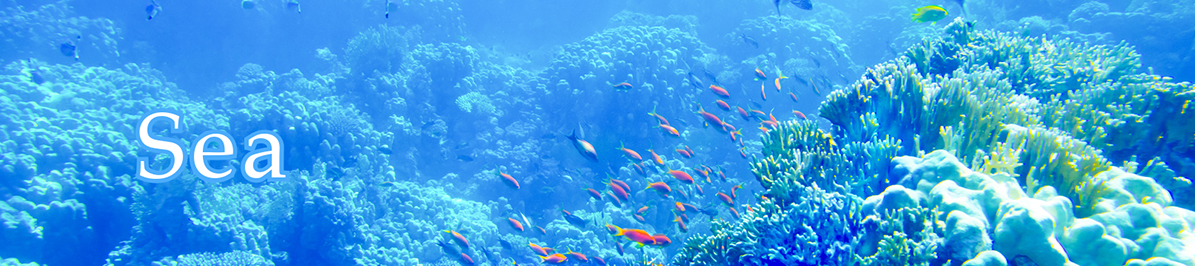 水族館、すいぞくかん、アクアリウム、Aquarium